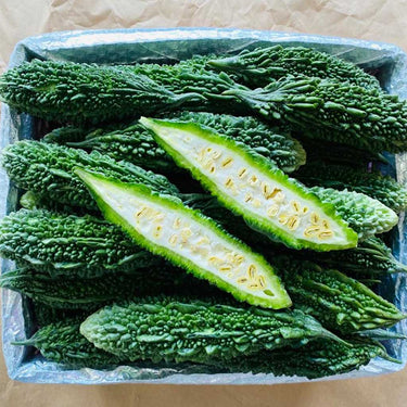 Indian Bitter Melon